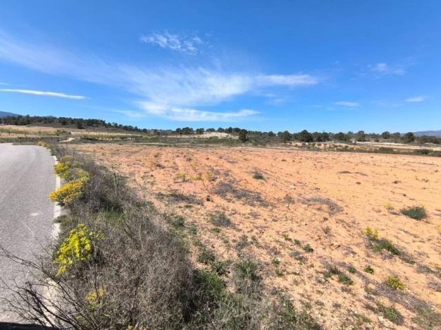 Terreno en venta en Altiplano, Murcia