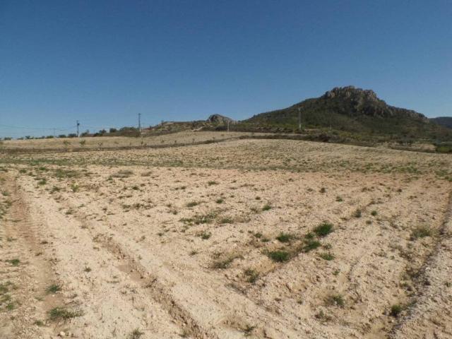 Terreno en venta en Altiplano, Murcia