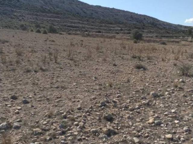 Terreno en venta en Altiplano, Murcia