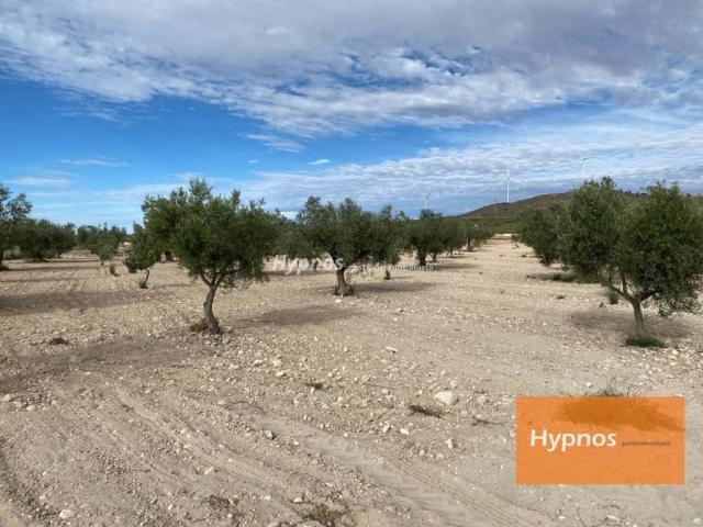 Terreno en venta en Altiplano, Murcia
