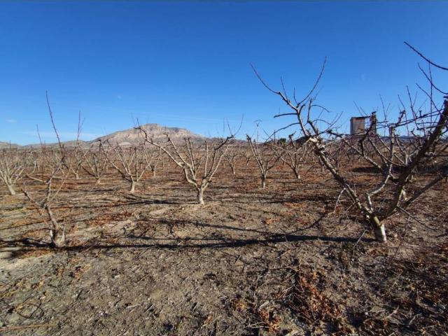 Terreno en venta en Altiplano, Murcia