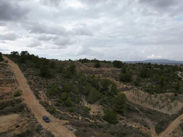 Terreno en venta en Altiplano, Murcia