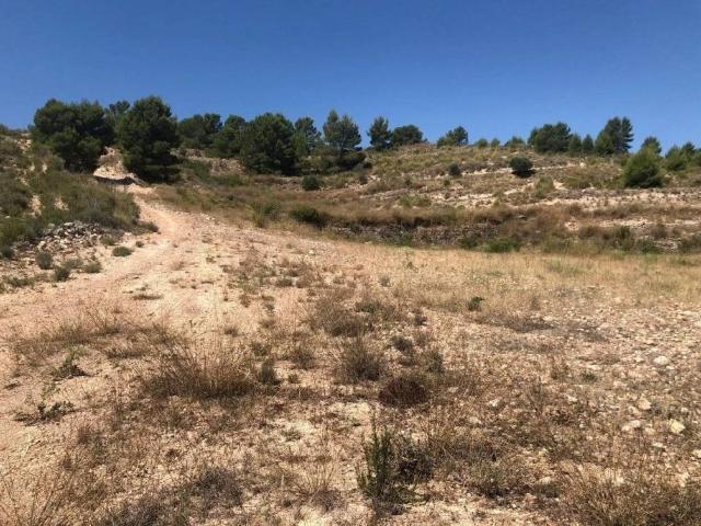 Terreno en venta en Altiplano, Murcia