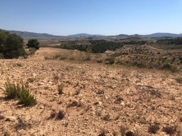 Terreno en venta en Altiplano, Murcia