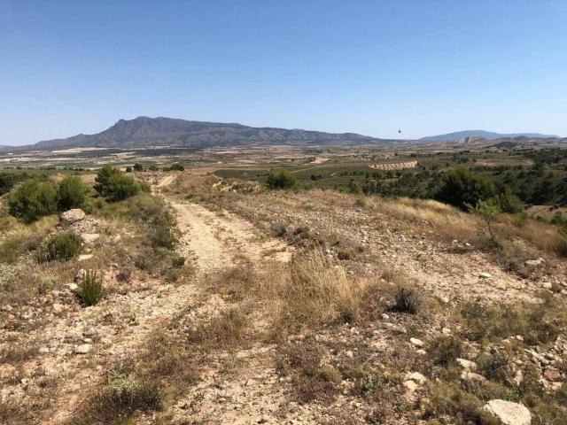 Terreno en venta en Altiplano, Murcia