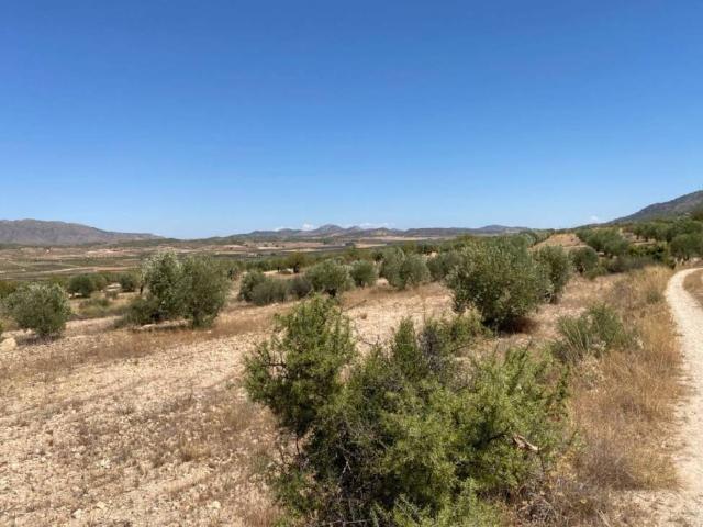 Terreno en venta en Altiplano, Murcia