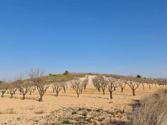 Terreno en venta en Altiplano, Murcia