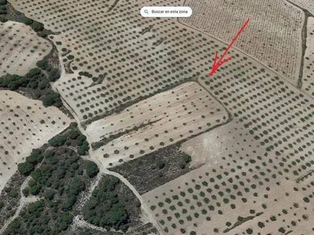 Terreno en venta en Jumilla, Región de Murcia