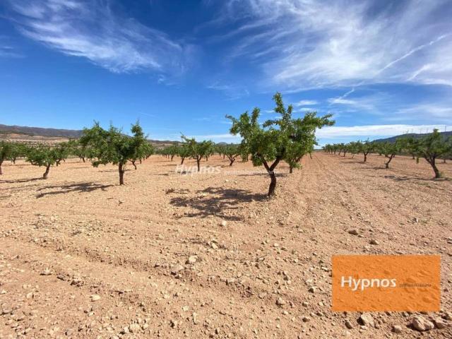 Terreno en venta en Altiplano, Murcia