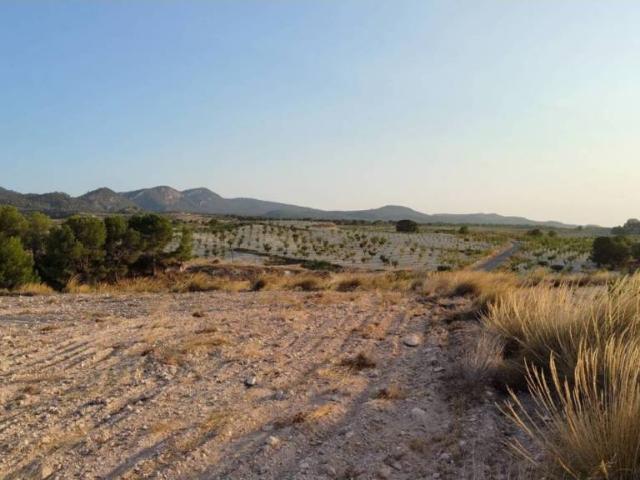Terreno en venta en Altiplano, Murcia