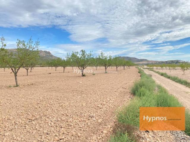 Terreno en venta en Altiplano, Murcia