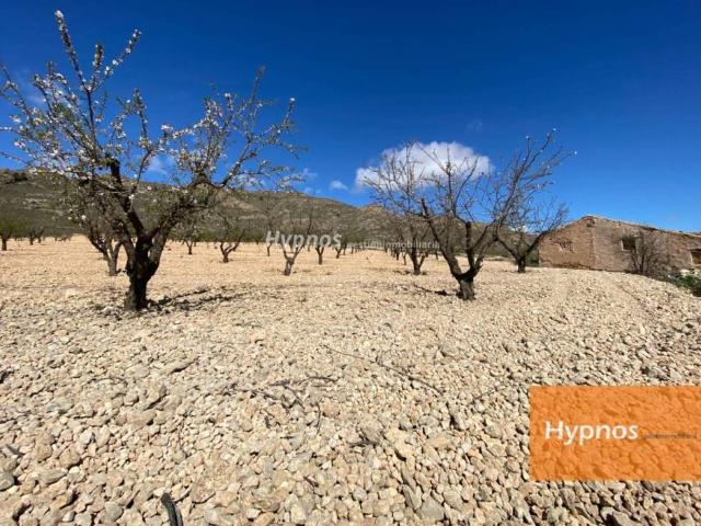 Terreno en venta en Altiplano, Murcia