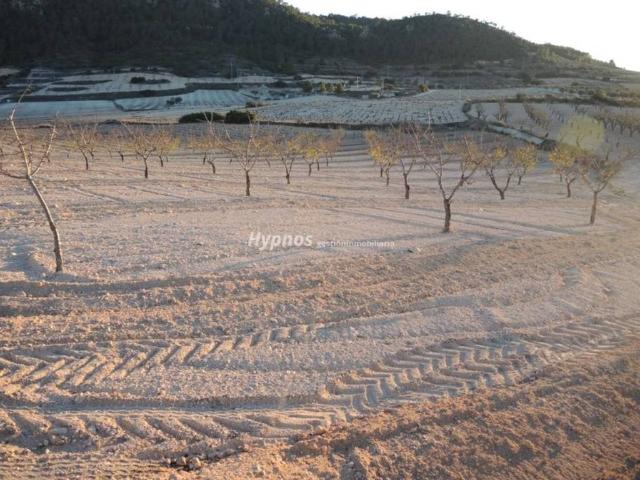 Terreno en venta en Altiplano, Murcia