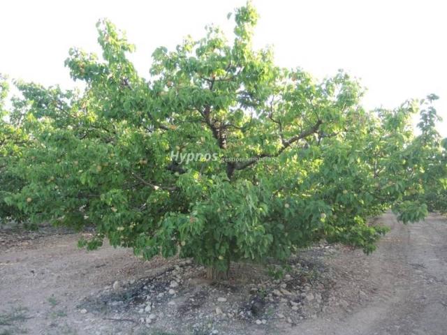 Terreno en venta en Altiplano, Murcia