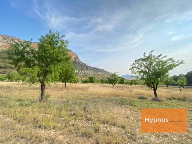 Terreno en venta en Altiplano, Murcia