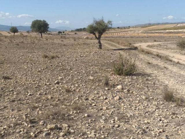 Terreno en venta en Altiplano, Murcia