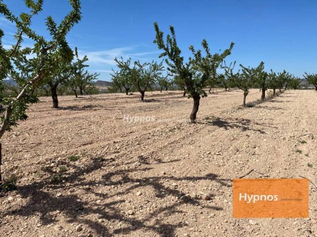 Terreno en venta en Altiplano, Murcia