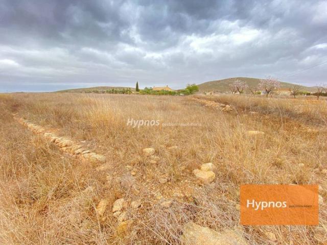 Terreno en venta en Altiplano, Murcia