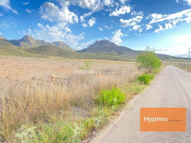 Terreno en venta en Altiplano, Murcia