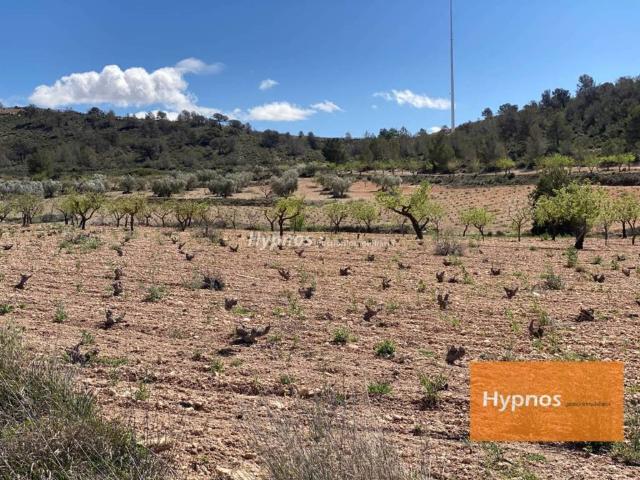 Terreno en venta en Altiplano, Murcia