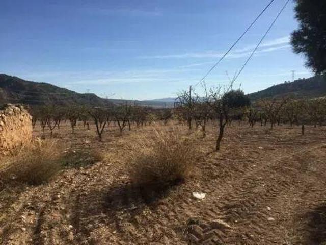 Terreno en venta en Altiplano, Murcia