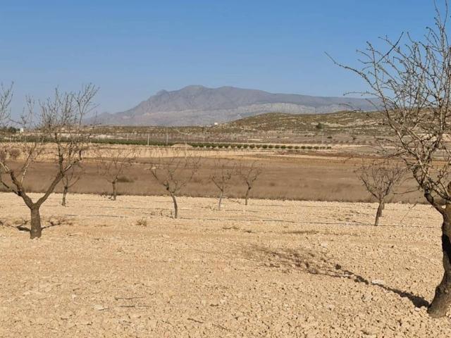 Terreno en venta en Altiplano, Murcia