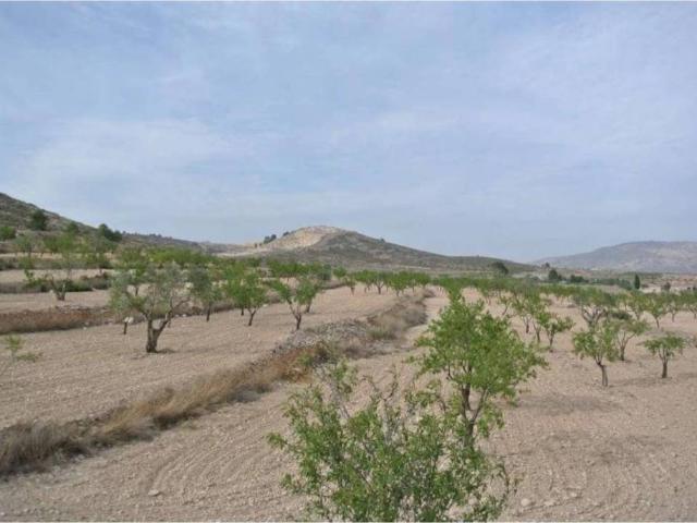 Terreno en venta en Altiplano, Murcia