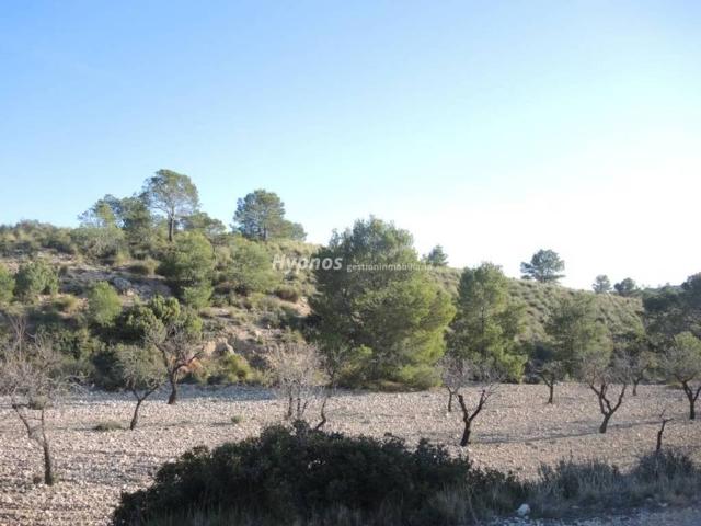 Terreno en venta en Altiplano, Murcia