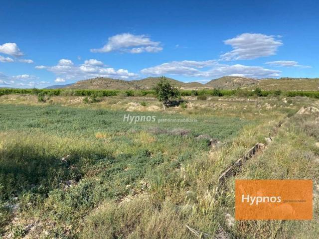Terreno en venta en Altiplano, Murcia