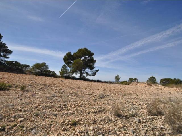 Terreno en venta en Altiplano, Murcia
