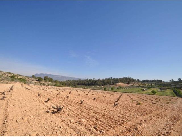 Terreno en venta en Altiplano, Murcia