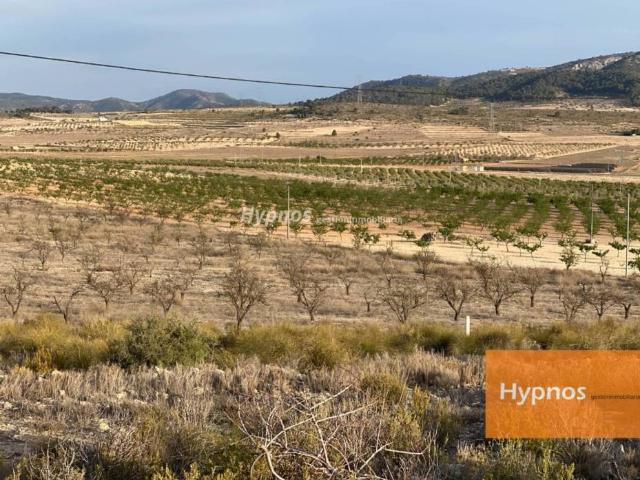 Terreno en venta en Altiplano, Murcia