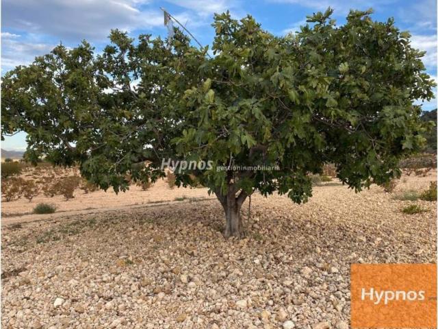 Terreno en venta en Altiplano, Murcia