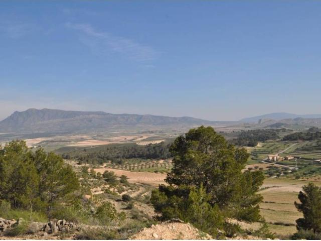 Terreno en venta en Altiplano, Murcia