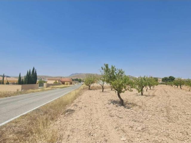 Terreno en venta en Altiplano, Murcia