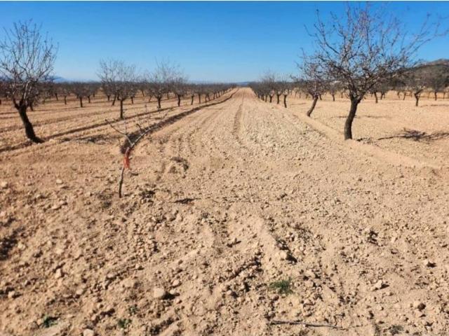 Terreno en venta en Altiplano, Murcia