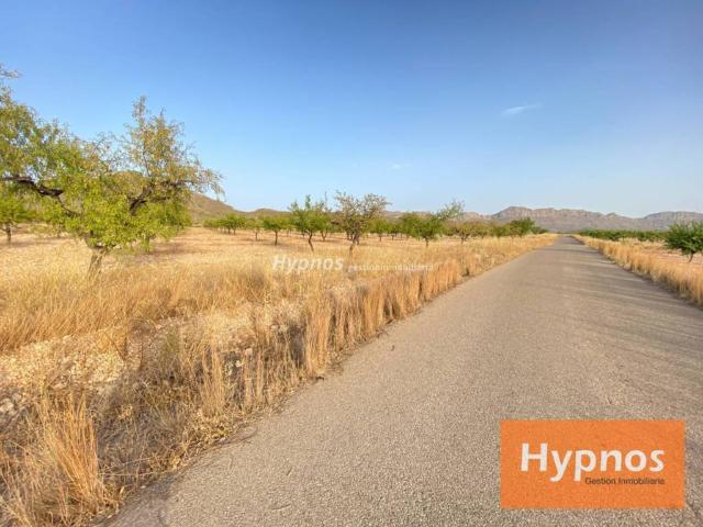 Terreno en venta en Altiplano, Murcia