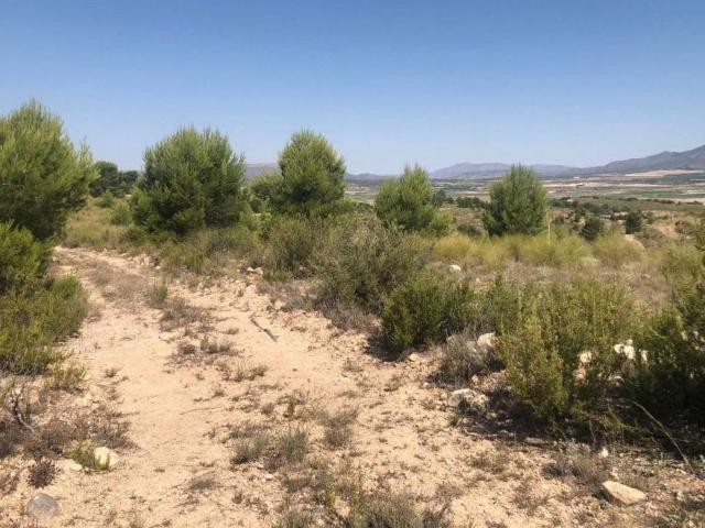 Terreno en venta en Altiplano, Murcia