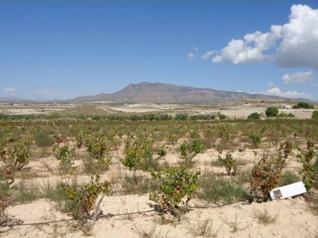 Terreno en venta en Altiplano, Murcia