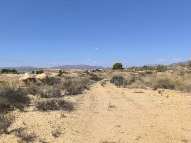 Terreno en venta en Altiplano, Murcia