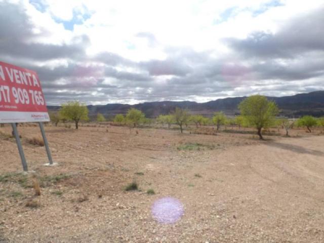 Terreno en venta en Altiplano, Murcia