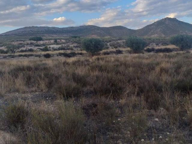 Terreno en venta en Altiplano, Murcia