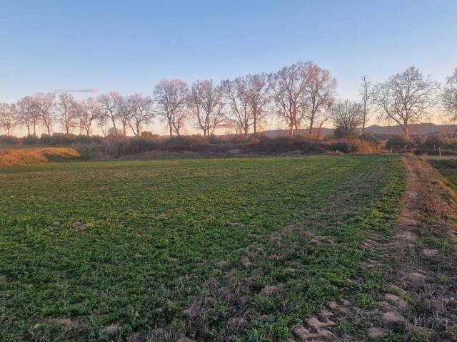 Terreno en venta en Garrigues, Catalunya