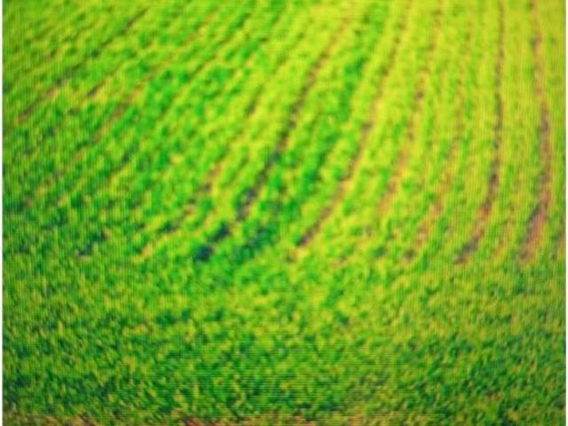 Terreno en venta en Garrigues, Catalunya