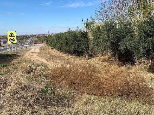 Terreno en venta en Juneda