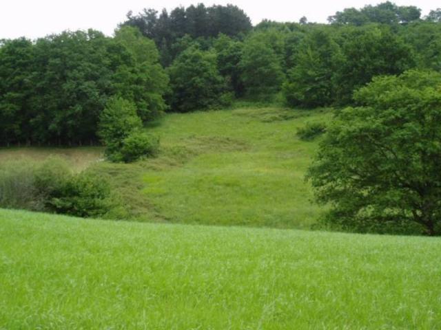 Terreno en venta en Valle De Carranza, Guipúzcoa