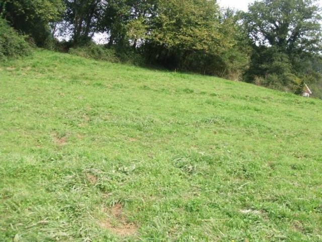 Terreno en venta en Valle De Carranza, Guipúzcoa