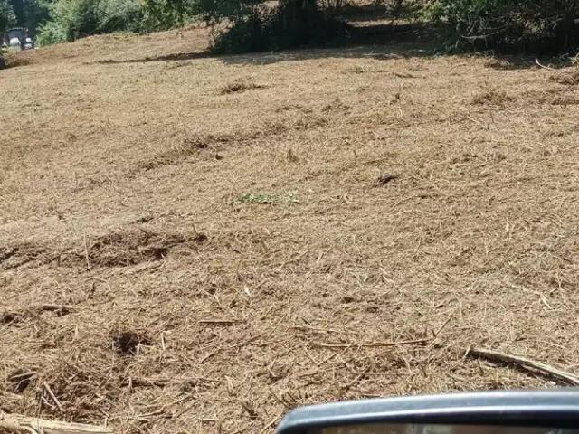 Terreno en venta en Valle De Carranza, Guipúzcoa