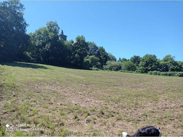 Terreno en venta en Valle De Carranza, Guipúzcoa