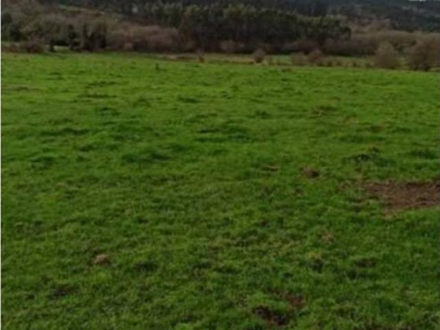 Terreno en venta en Concha, Valle De Carranza